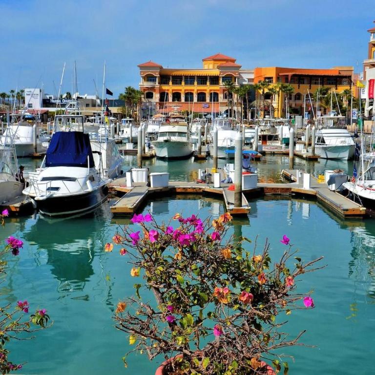 Cozy Cabo Condo 2BR, Shared Pool, Gated Community, 20 Walk to Beach - Casa - 89