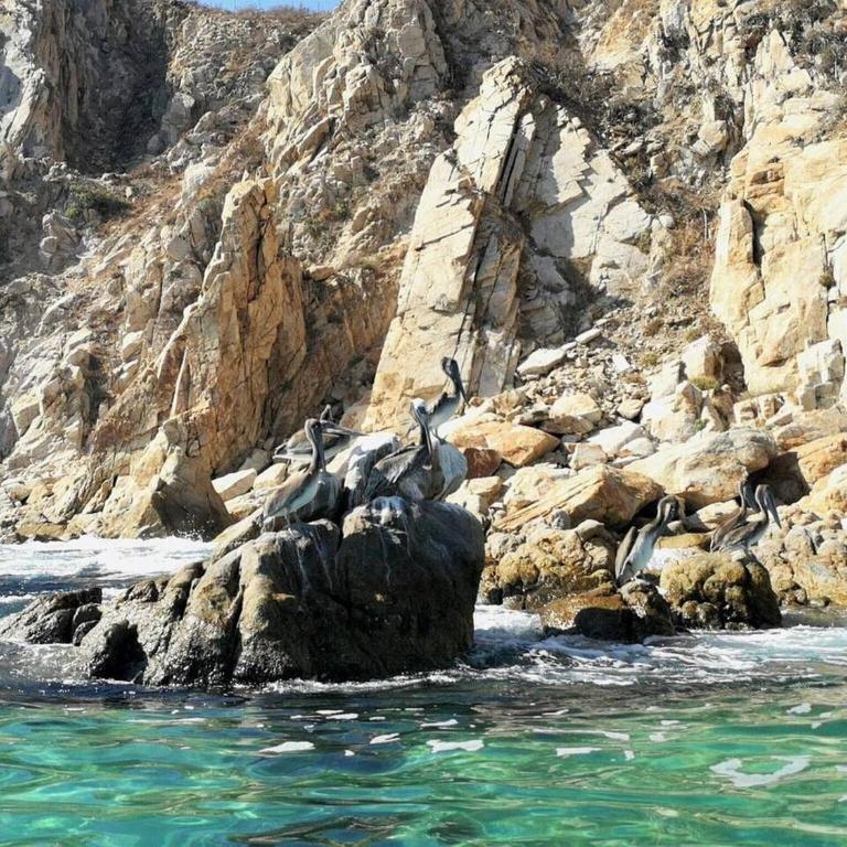 Cozy Cabo Condo 2BR, Shared Pool, Gated Community, 20 Walk to Beach - Casa - 91
