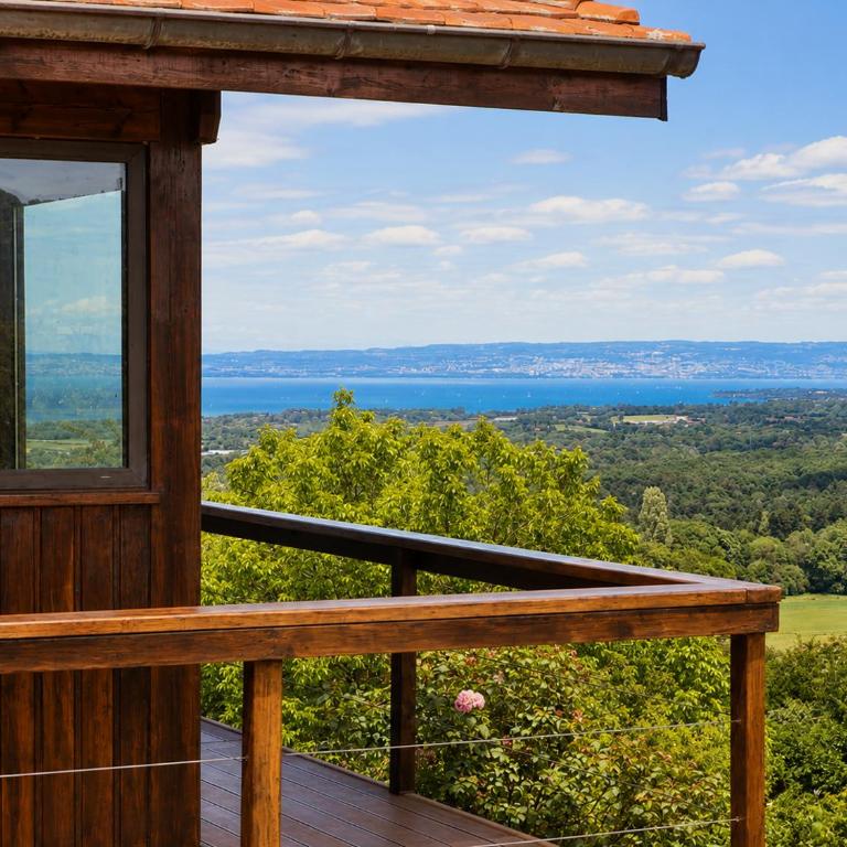 AKHET Villa panoramique avec vue Léman et Alpes - Villa - 7