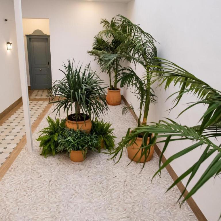 Apartamentos Nueva Ribera - Apartamento con ducha - 8
