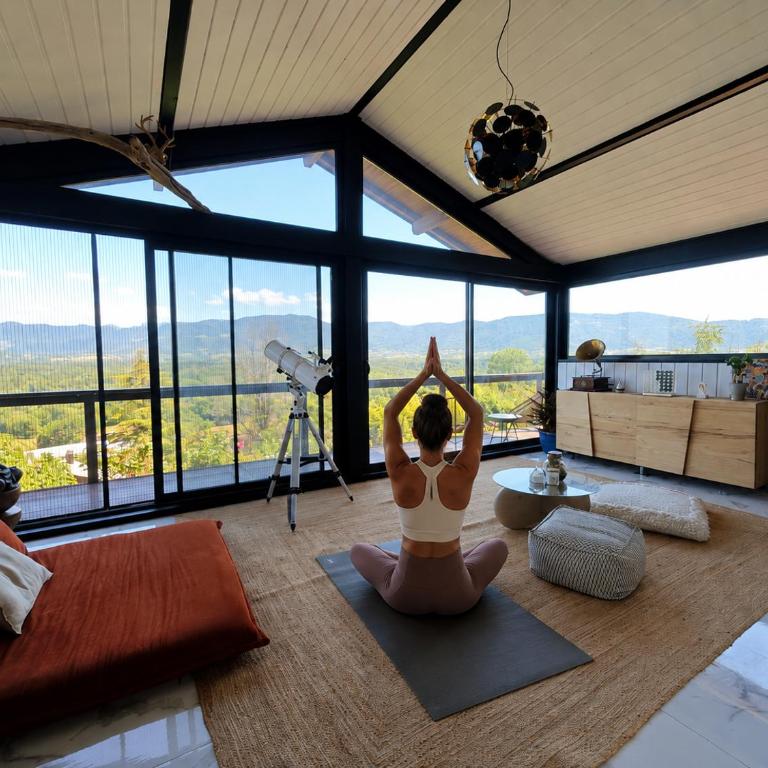 AKHET Villa panoramique avec vue Léman et Alpes - Villa - 22