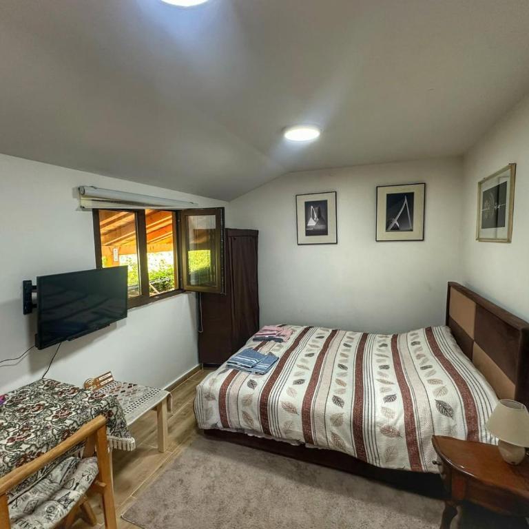 Cozy Central Studio - Dile - Apartman sa 1 Spavaćom Sobom - 1