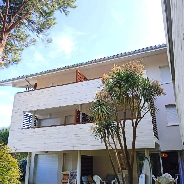 Superb apartment with terrace near beach - Appartement - 13