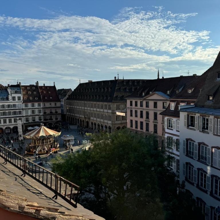 Appartement centre ville Strasbourg vue cathédrale - Appartement 1 Chambre avec Vue - 1