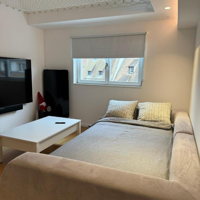 Appartement centre ville Strasbourg vue cathédrale - Appartement 1 Chambre avec Vue - 5
