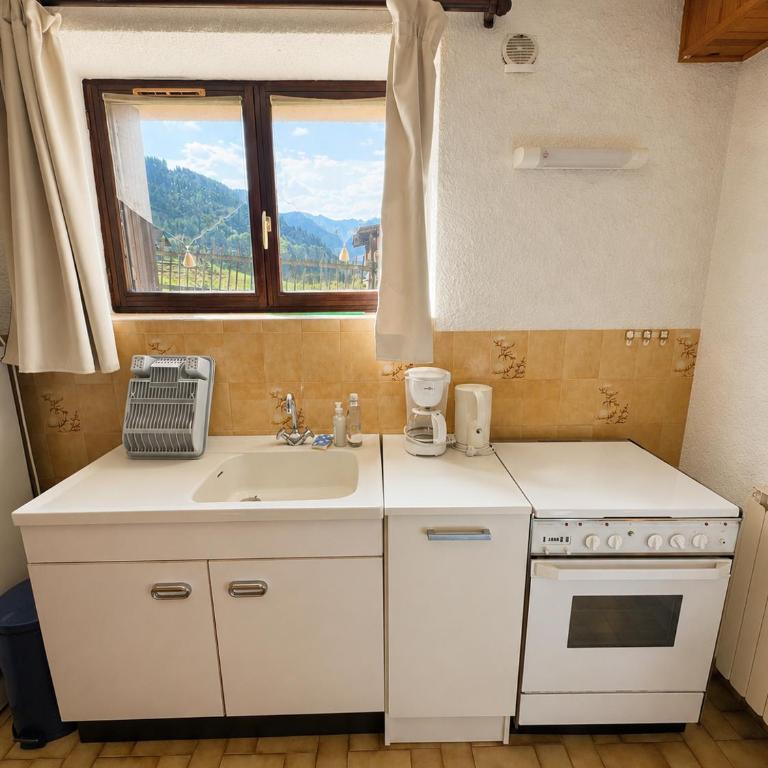 Le Nid des Aiguilles - Le Mélèze - vue montagne - Appartement 1 Chambre - 15