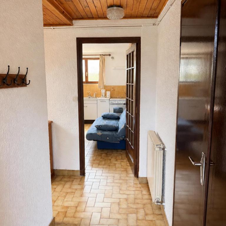 Le Nid des Aiguilles - Le Mélèze - vue montagne - Appartement 1 Chambre - 13