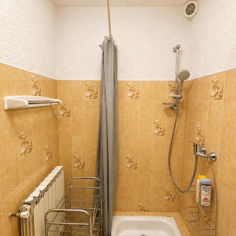 Le Nid des Aiguilles - Le Mélèze - vue montagne - Appartement 1 Chambre - 6