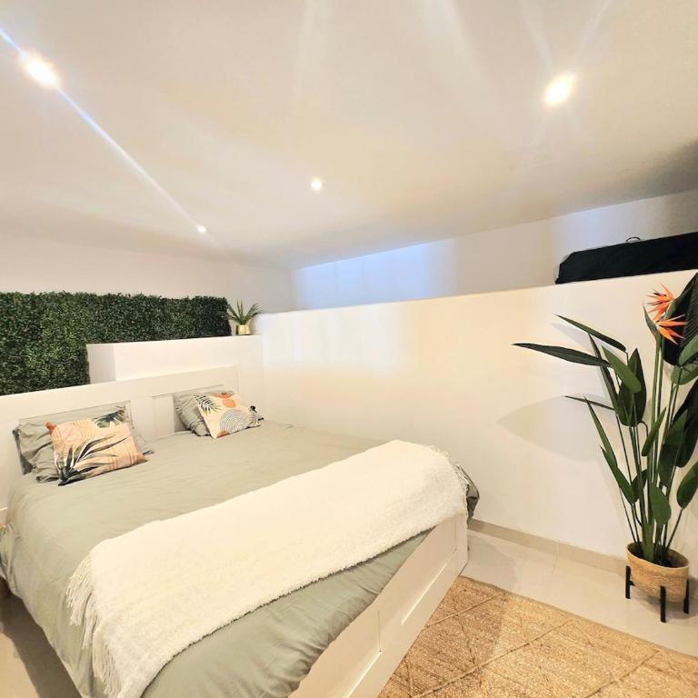Le TAMARIS ENTRE MER ET FORET - Maison 1 Chambre - 16