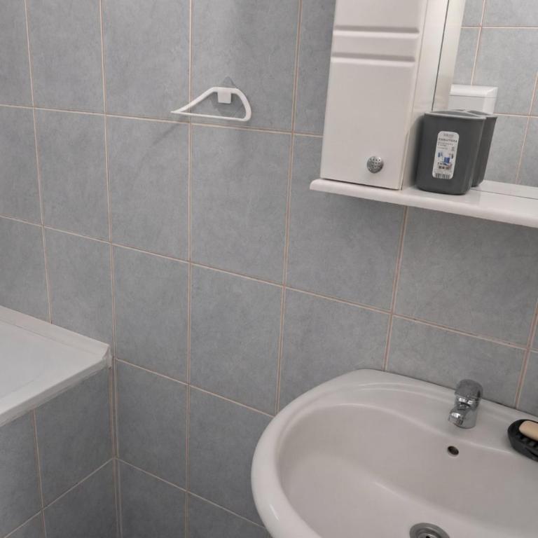 Vila Milojević - Appartement 2 Chambres - 8