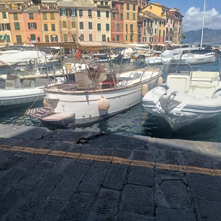 Casa Di Alice, Santa Margherita Ligure - Appartamento con 2 Camere da Letto - 25