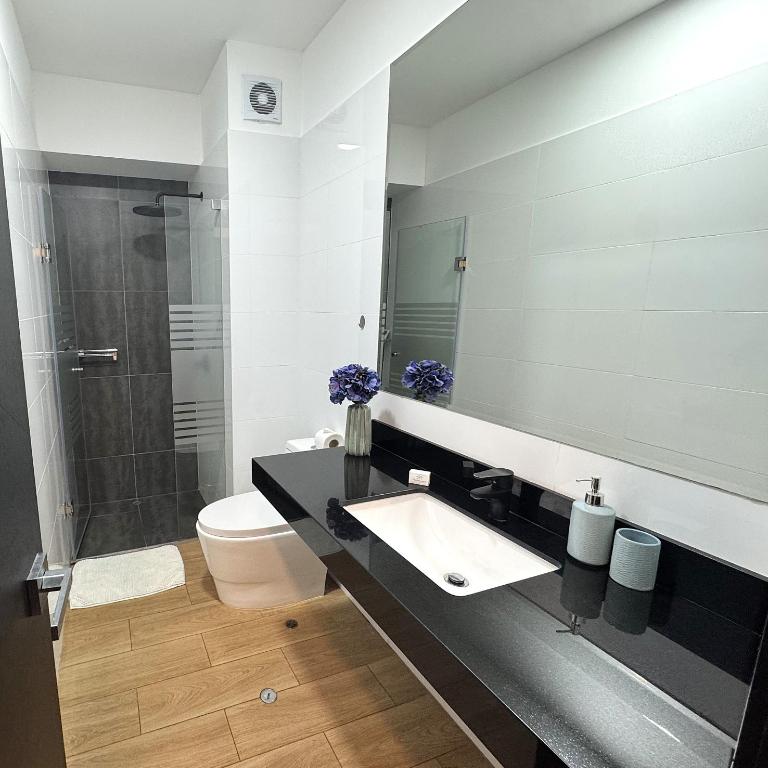 Aparts 4 Days 1 or 2 Bedroom Apartment San Isidro Business Zone 06 - One-Bedroom Apartment - 15