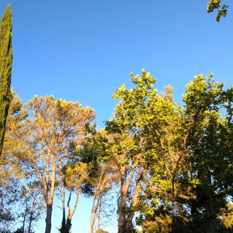 Le mazet d'Uzès - Villa - 38