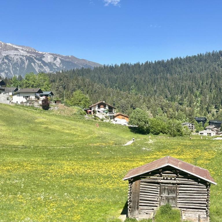 Family home in Laax with stunning views - Ferienhaus - 18