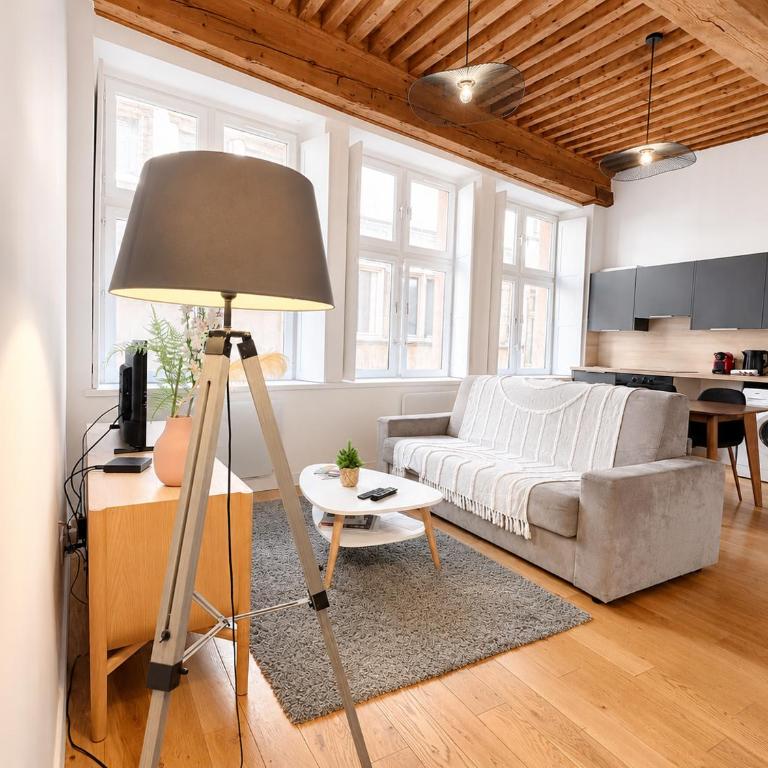 Cosy appt cœur de Lyon du Bœuf 3 - Appartement 1 Chambre - 1