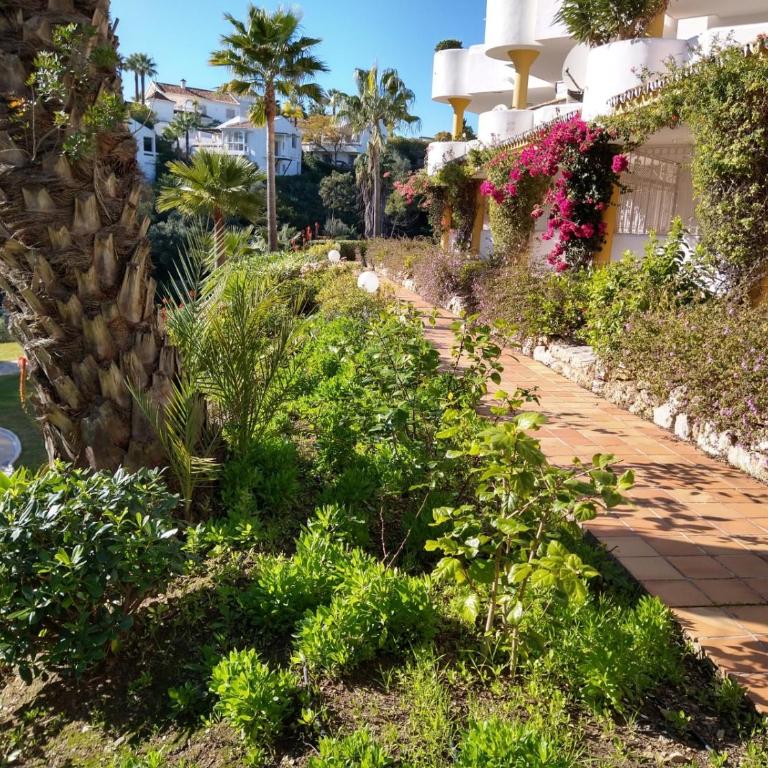 Casa Jimbo Calahonda Golf - Apartamento de 2 dormitorios - 1