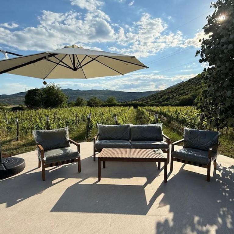 Vineyard Cottage with Mountain Views - Two-Bedroom House - 1