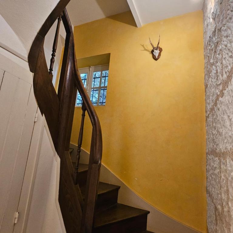 Aux grilles du Château de Saint-Aignan, à 2km de Beauval, les maisons de Sidonie et Léonard - La Maison de Sidonie - 5