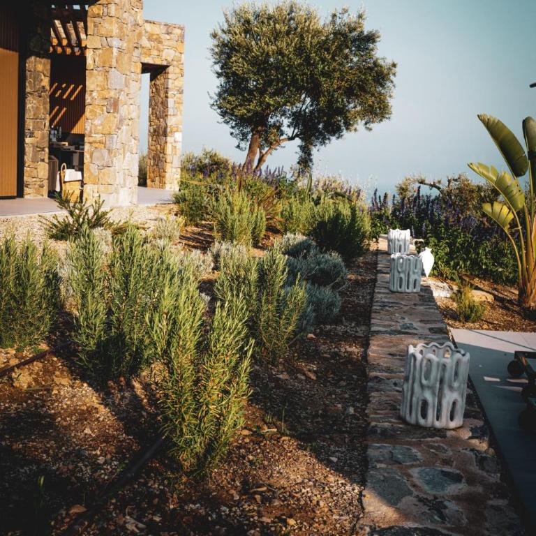 Villa Dolce & Azzurra - Villa - 3