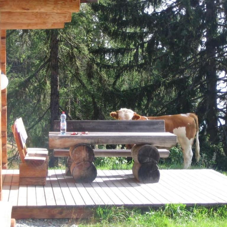Traum-Blockhaus mit Panoramablick - Haus mit 4 Schlafzimmern - 6