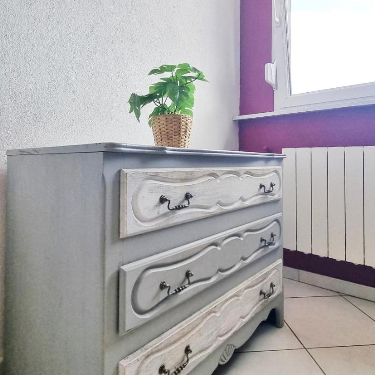 Le Tiny House Alsacien - Appartement 1 Chambre - 12
