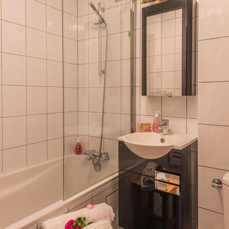Studio lumineux proche des pistes, animaux admis - FR-1-517-32 - Studio - 7
