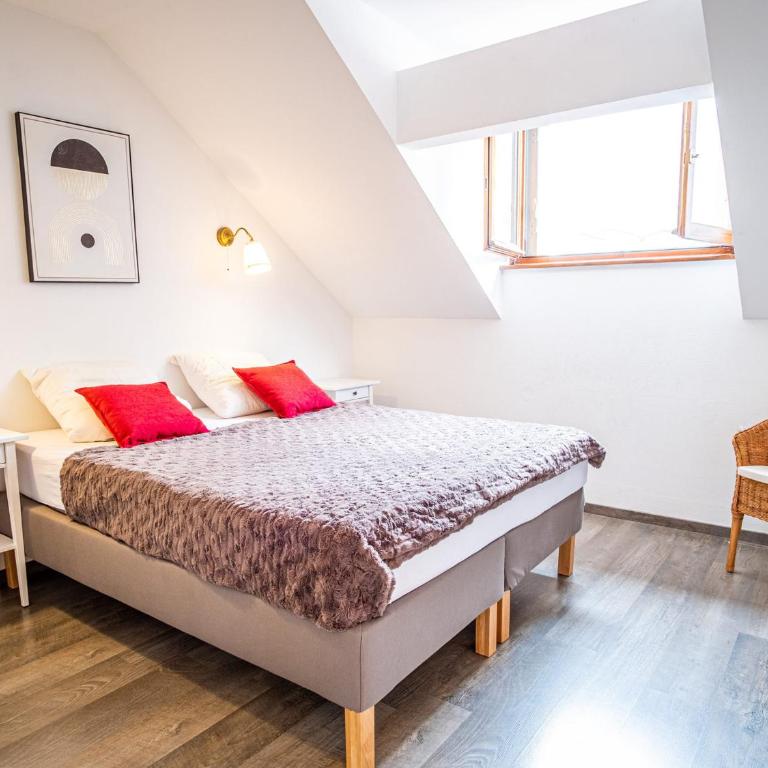Magnifique appartement centre-ville - Animaux admis, WiFi - FR-1-517-37 - Apartment (10 Adults) - 16