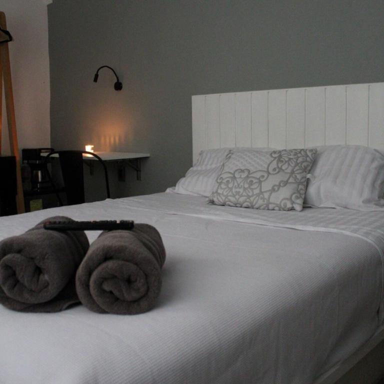 Habitacion con hermosa vista en Oaxaca Centro - Magenta - Appartement 1 Chambre - 1