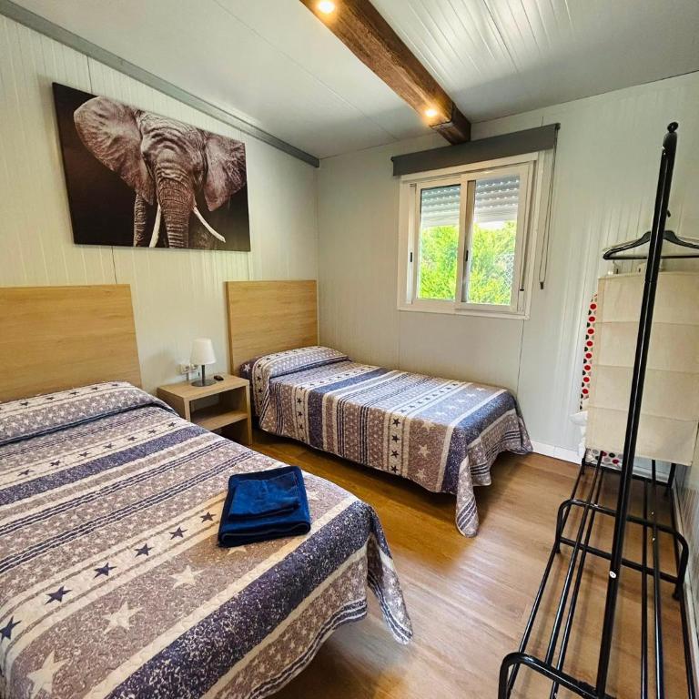 Casa Privada con Jardin Barbacoa y Piscina privada solo familias - Appartement - 3