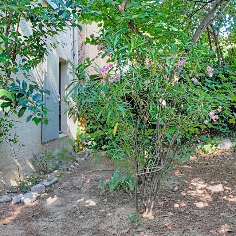 Studio avec terrasse et jardin - Appartement 1 Chambre - 19