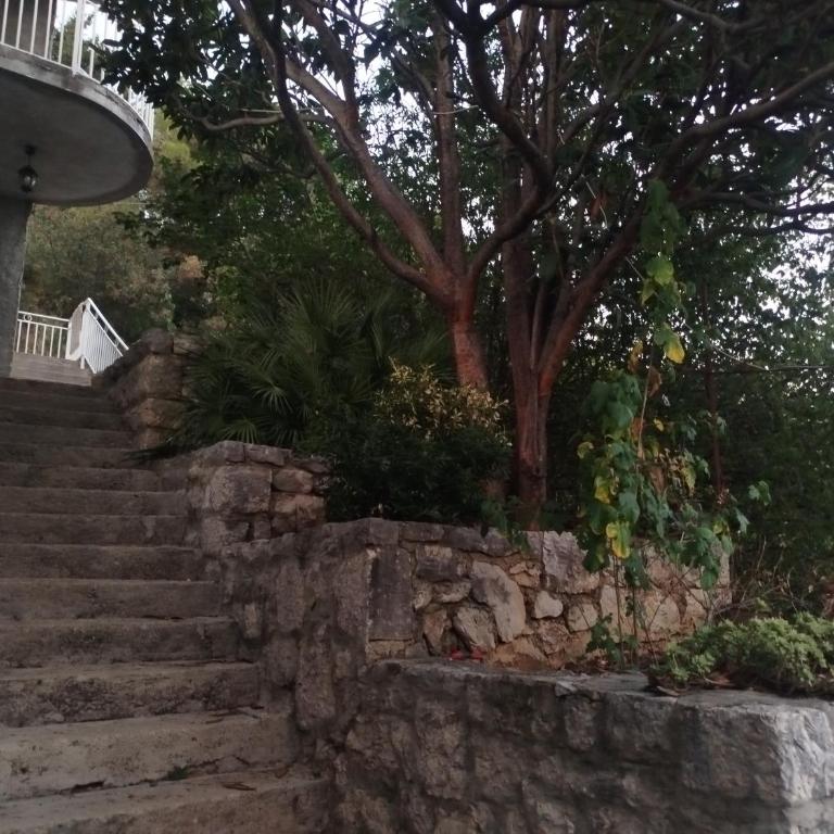 Gavro - Apartman sa 1 Spavaćom Sobom - 6