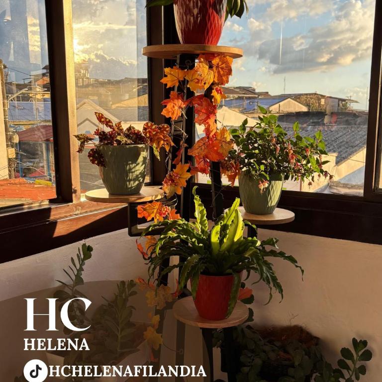 HC Helena - Casa de 7 dormitorios - 11