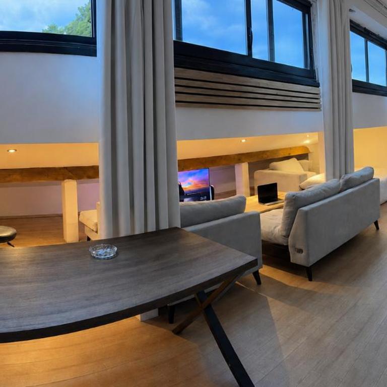 Loft sous les toits - Appartement Classique - 1
