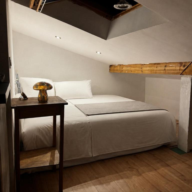 Loft sous les toits - Appartement Classique - 5