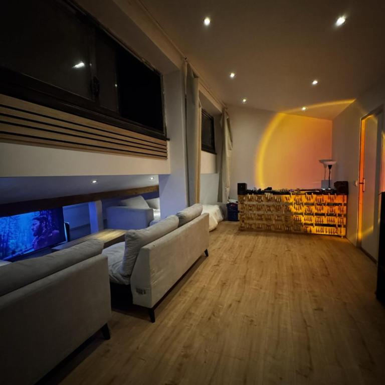Loft sous les toits - Appartement Classique - 3
