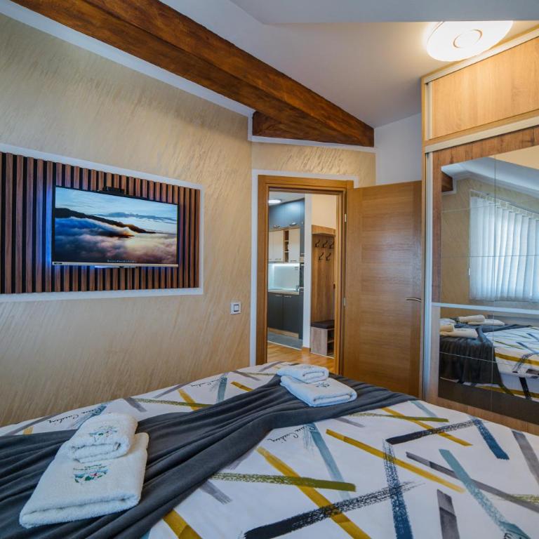 Apartman Milosavljević - Appartement avec Vue sur la Montagne - 28