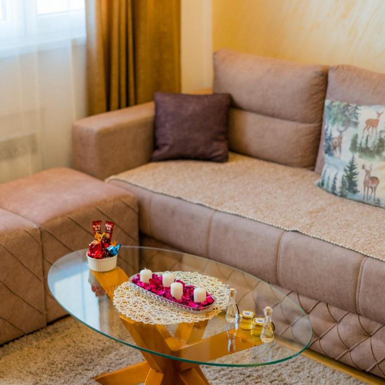 Apartman Milosavljević - Appartement avec Vue sur la Montagne - 33
