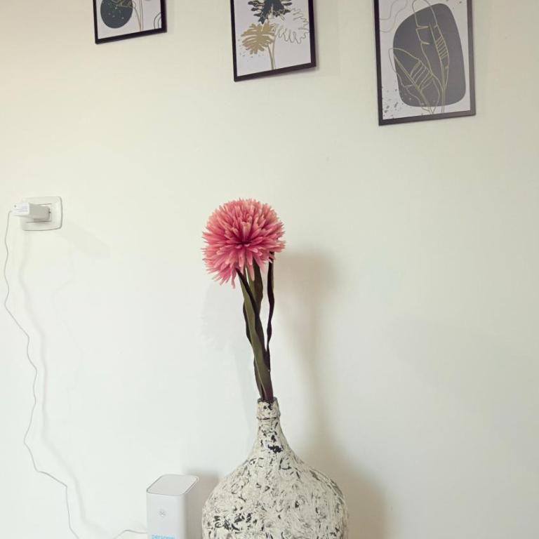  - Room #1714691501 - 12