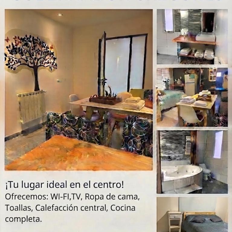 dpto lofalu - Apartamento de 1 dormitorio - 1