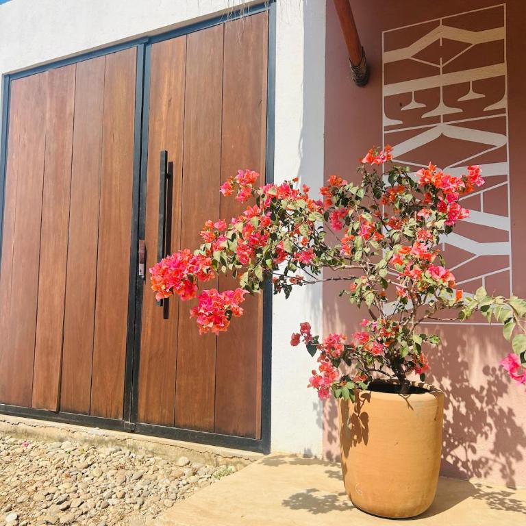 La Punta Ocean Breeze Suites - Palapa Suite - Casa con 1 dormitorio - 18