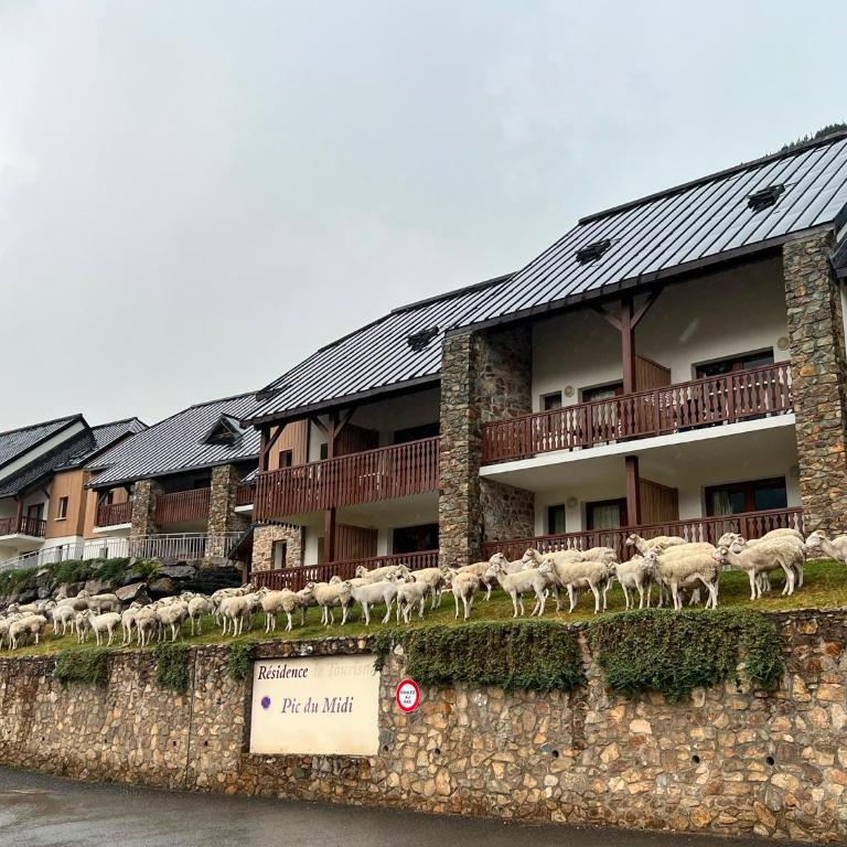 Studio La Mongie - Moderne et cosy avec vue sur les pistes et piscine - Studio - Vue sur Montagne - 28