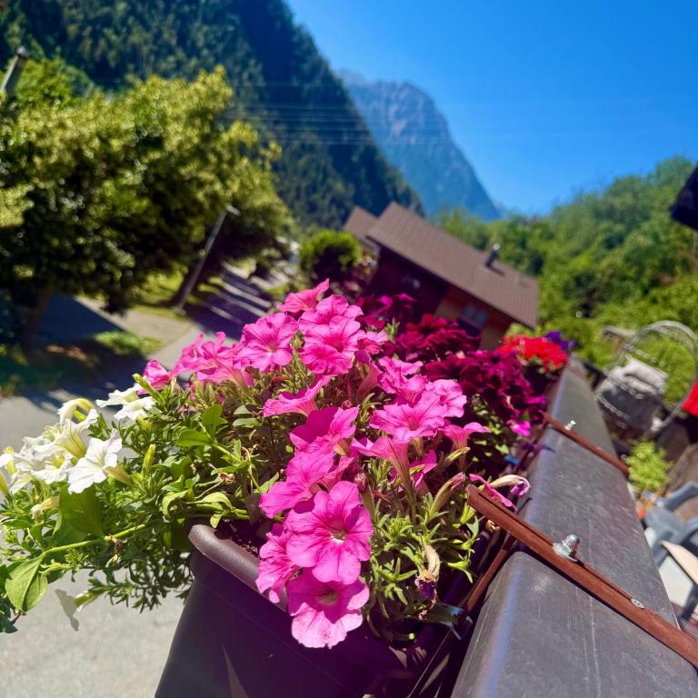 Chalet with Mountain View ,Near Aletsch Arena - Apartment mit 2 Schlafzimmern - 38