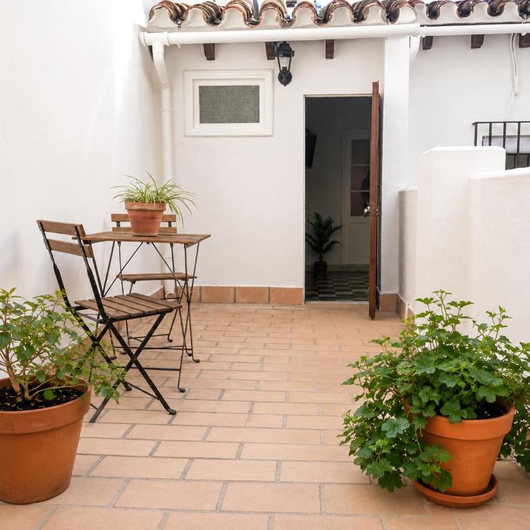 Apartamentos Casa Vicario Centro Histórico - Apartamento con terraza - 5