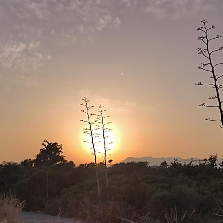 Jardín de las Dunas - Apartamento de 2 dormitorios - 24