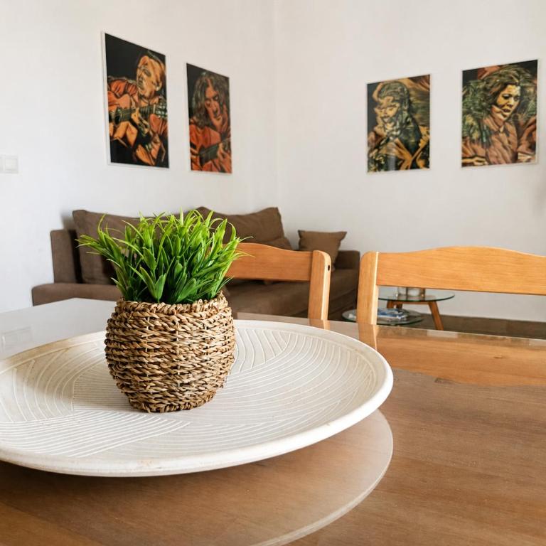 Apartamentos Casa Vicario Centro Histórico - Apartamento de 1 dormitorio - 14