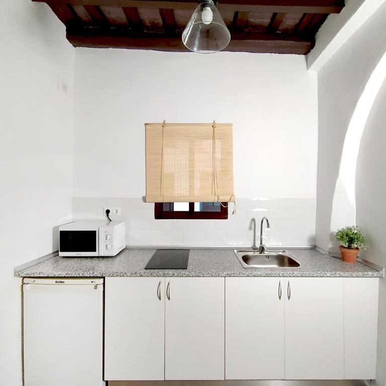 Apartamentos Casa Vicario Centro Histórico - Apartamento de 1 dormitorio - 19