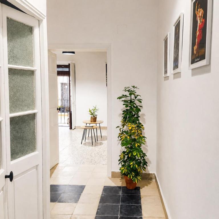 Apartamentos Casa Vicario Centro Histórico - Apartamento con balcón - 5