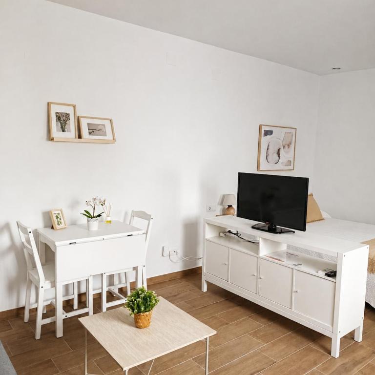 Apartamentos Casa Vicario Centro Histórico - Apartamento - Planta baja - 12