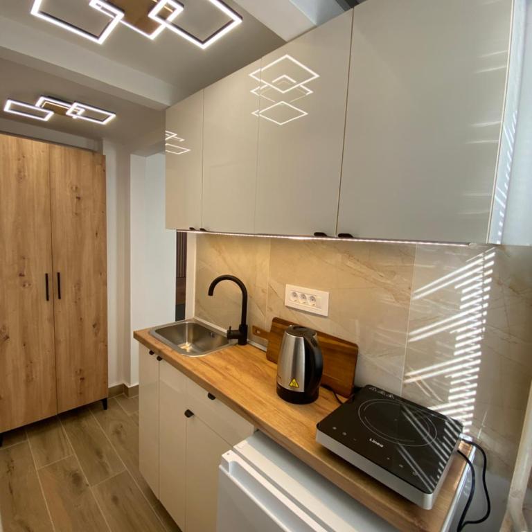 Lux Vracar St Sava Temple - Apartman sa 1 Spavaćom Sobom - 7