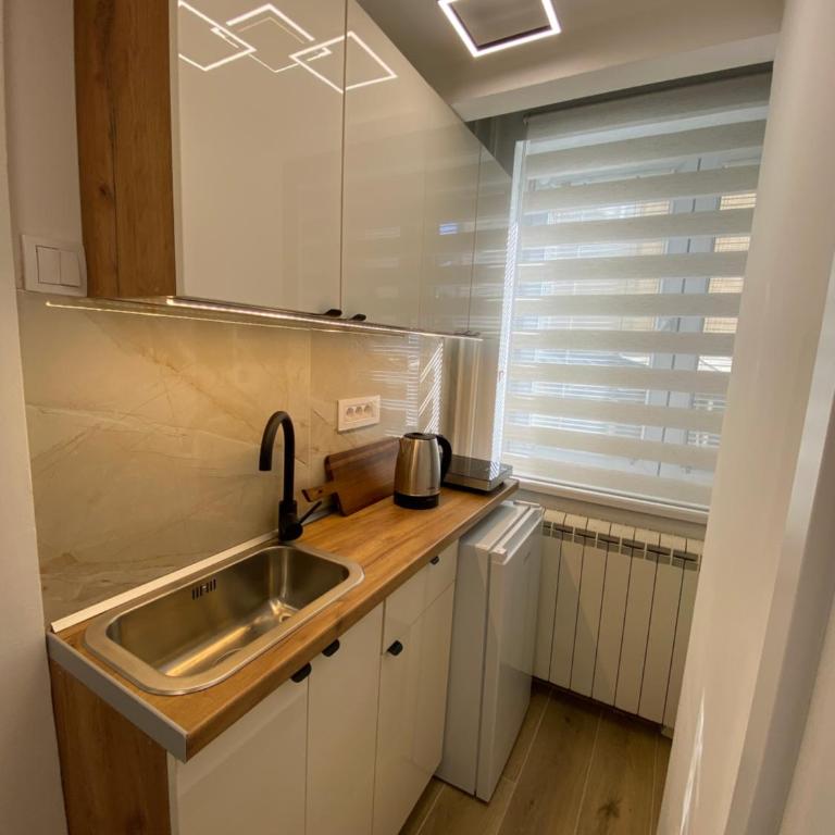 Lux Vracar St Sava Temple - Apartman sa 1 Spavaćom Sobom - 8